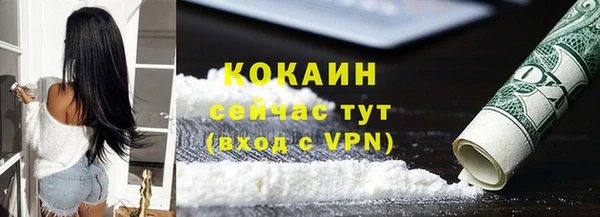 соль ск Алексин