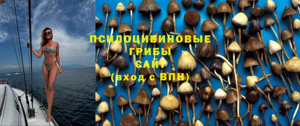 соль ск Алексин